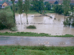 small flood in 2002 5